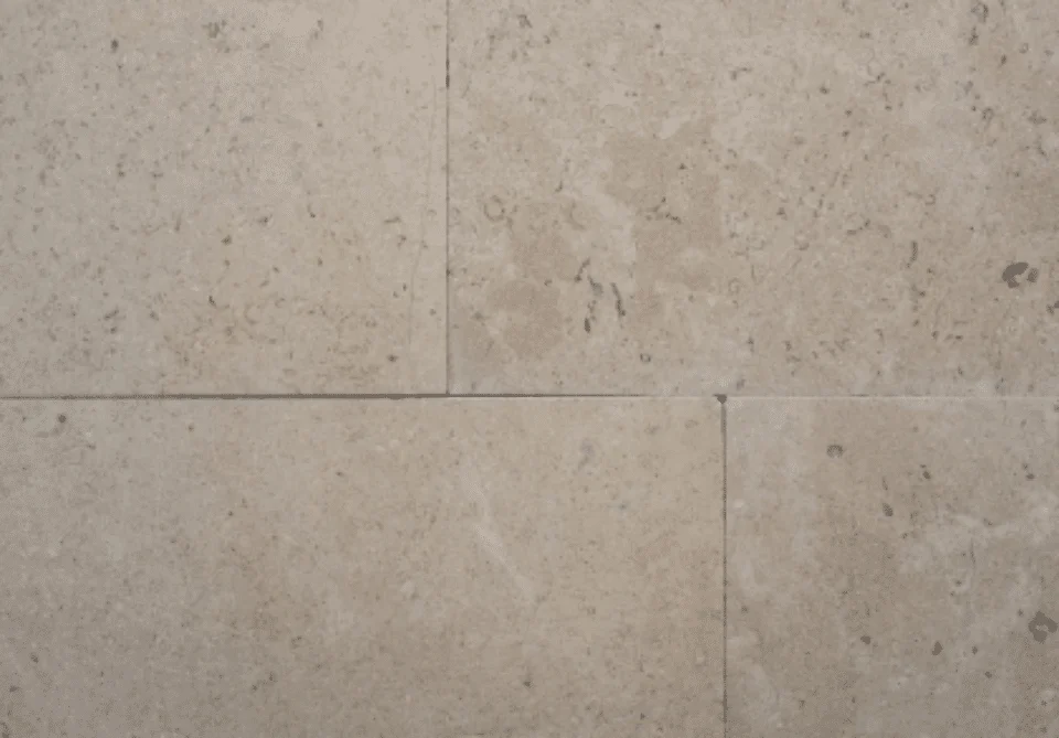 Sinai Pearl Limestone