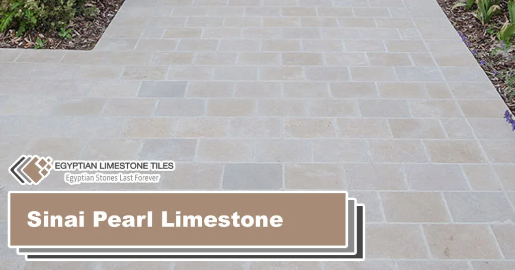 Sinai-Pearl-Limestone