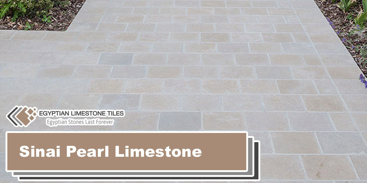 Sinai-Pearl-Limestone