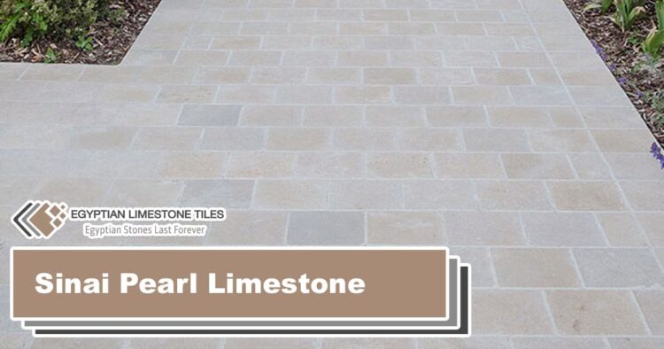 Sinai-Pearl-Limestone